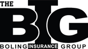 THE BOLING INSURANCE GROUP